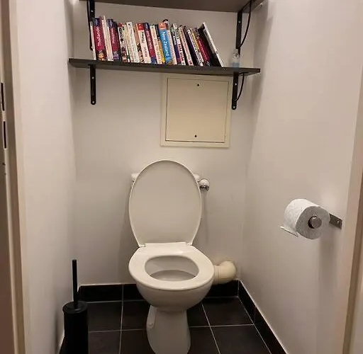 Apartment Spacious & Cosy Flat Massy (Essonne)