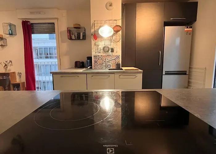 Spacious & Cosy Flat Massy (Essonne)