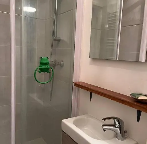 Spacious & Cosy Flat Massy (Essonne)